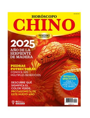 CHINO 2025-web