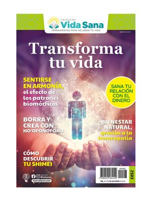 VIDA SANA 2503, transforma-tu-vida, hooponopono, relacion-con-el-dinero, armonia, homeopatia