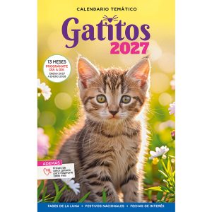 Calendario Gatitos 2027 (Enero 2027 a 2028)