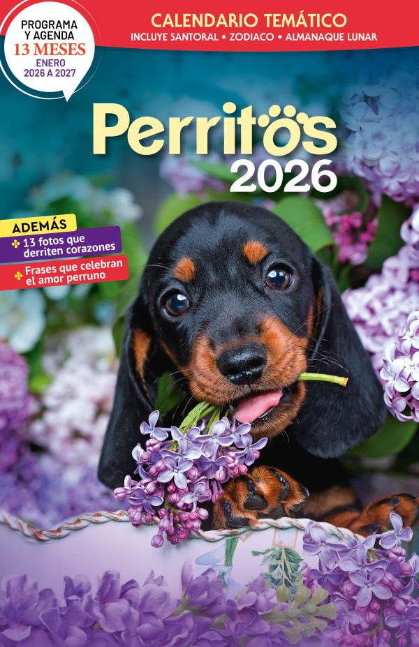 Calendario Perritos 2026 (Enero 2026 a 2027) - Imagen 2