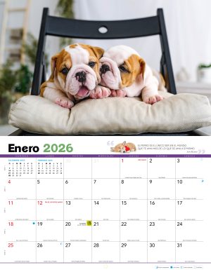 Calendario-planeador-perritos-2026