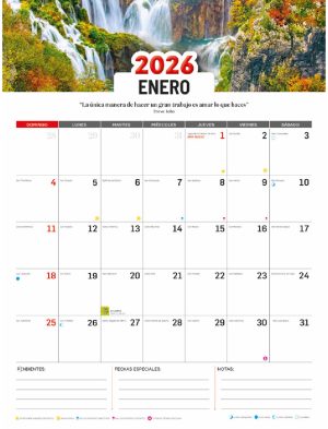 Programador 2026 (Enero - Dic 2026)